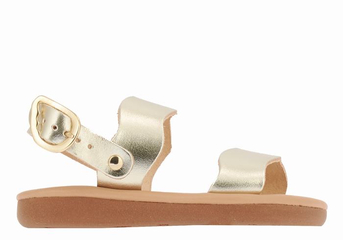 Sandały Casual Dziecięce Ancient Greek Sandals Little Calamos Soft Złote Białe | PAF6982WE