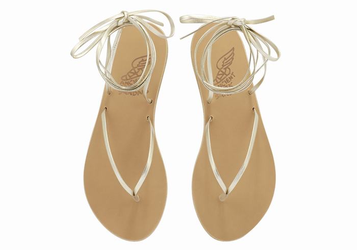 Sandały Gladiatorki Damskie Ancient Greek Sandals Celia Złote Białe | AJY9550YG