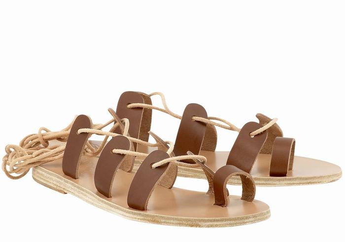 Sandały Gladiatorki Damskie Ancient Greek Sandals Alcyone Leather Ciemny Brązowe | DSO4993UN