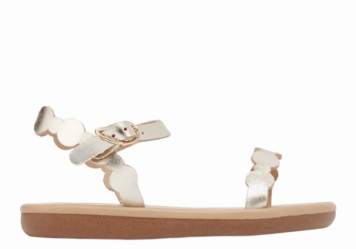 Sandały Płaskie Dziecięce Ancient Greek Sandals Little Toxo Soft Złote Białe | FTB4192OB