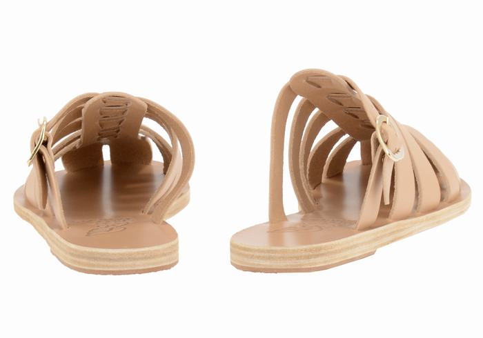 Sandały Rybaka Damskie Ancient Greek Sandals Cosmia Beżowe | RMA2994TO