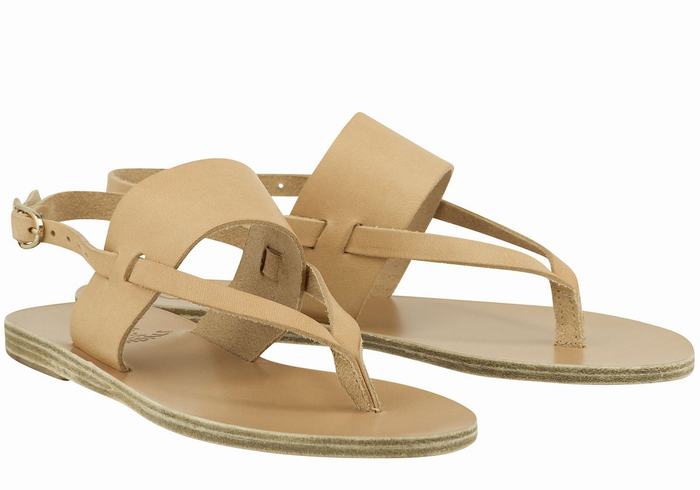 Sandały Z Paskiem Na Plecy Damskie Ancient Greek Sandals Zoe Flip Flop Leather Beżowe | JKX393IC