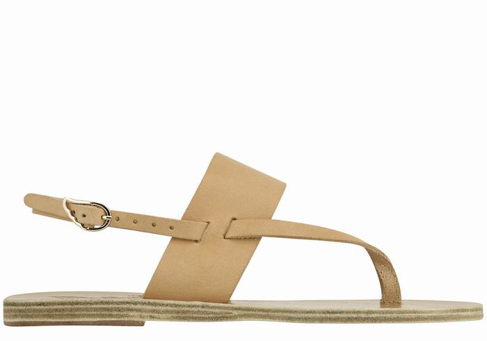 Sandały Z Paskiem Na Plecy Damskie Ancient Greek Sandals Zoe Flip Flop Leather Beżowe | JKX393IC