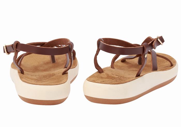 Sandały Z Paskiem Na Plecy Damskie Ancient Greek Sandals Semele Comfort Kawa | YKP2010CC