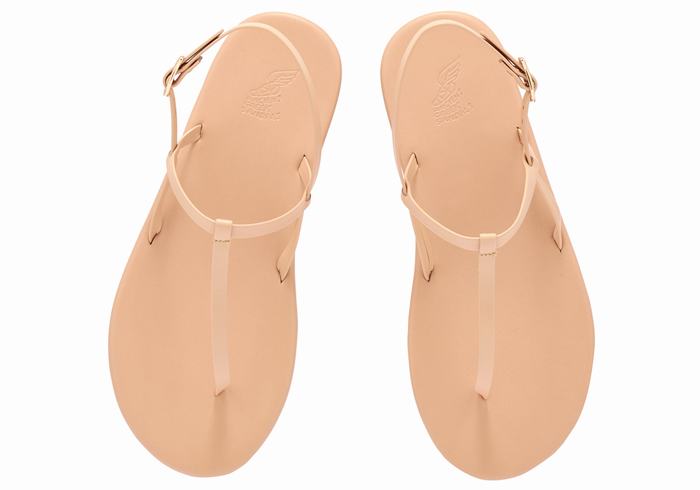 Sandały Z Paskiem Na Plecy Damskie Ancient Greek Sandals Lito Flip Flop Beżowe | QMJ2150XI