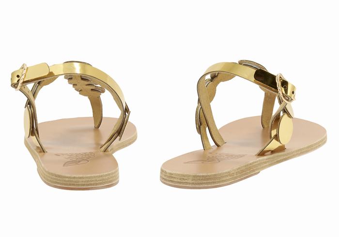 Sandały Z Paskiem Na Plecy Damskie Ancient Greek Sandals Ilios Flip Flop Leather Złote | TOL5016LH
