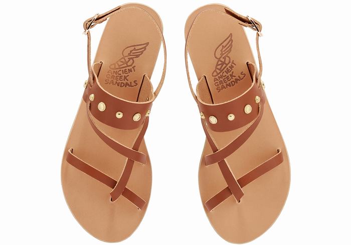 Sandały Z Paskiem Na Plecy Damskie Ancient Greek Sandals Alethea Bee Ciemny Brązowe | CUZ1374JV