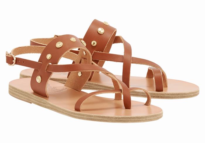 Sandały Z Paskiem Na Plecy Damskie Ancient Greek Sandals Alethea Bee Ciemny Brązowe | CUZ1374JV
