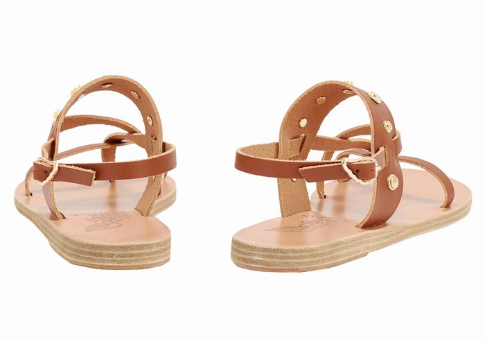 Sandały Z Paskiem Na Plecy Damskie Ancient Greek Sandals Alethea Bee Ciemny Brązowe | CUZ1374JV
