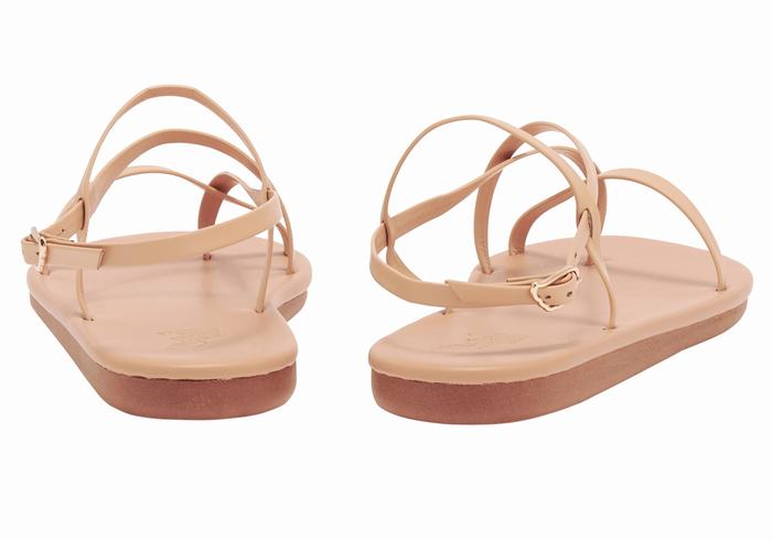 Sandały Z Paskiem Na Plecy Damskie Ancient Greek Sandals Alethea Beżowe | TVP2288JG