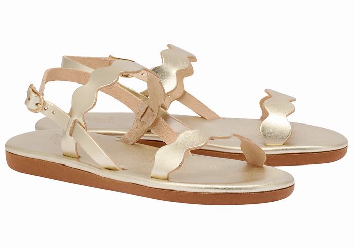 Sandały Z Paskiem Na Plecy Damskie Ancient Greek Sandals Afros Złote Białe | PWU3965BR