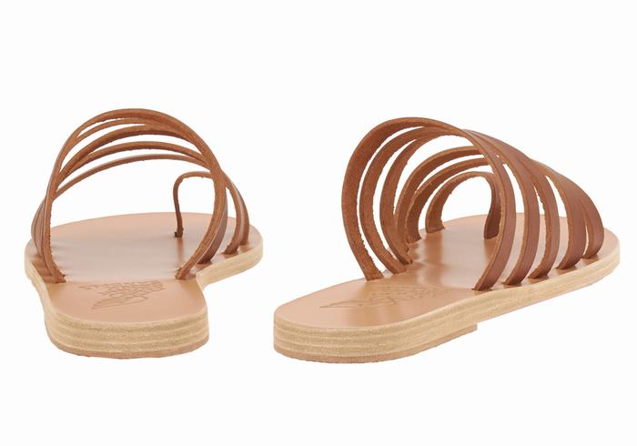 Sandały Ze Słupkami Damskie Ancient Greek Sandals Niki Leather Ciemny Brązowe | BFL484DU